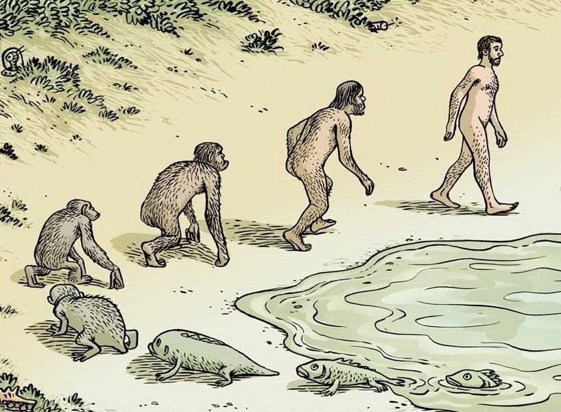 Эволюция крокодилов