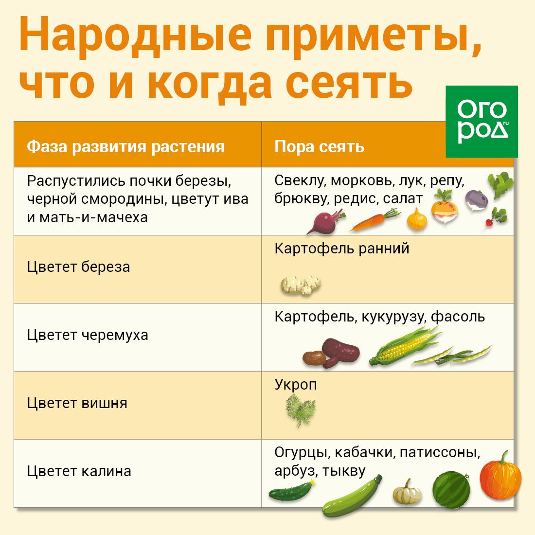 Можно ли давать кроликам кабачки, огурцы, тыкву и яблоки, с какого возраста, в каком виде - kotiko.ru