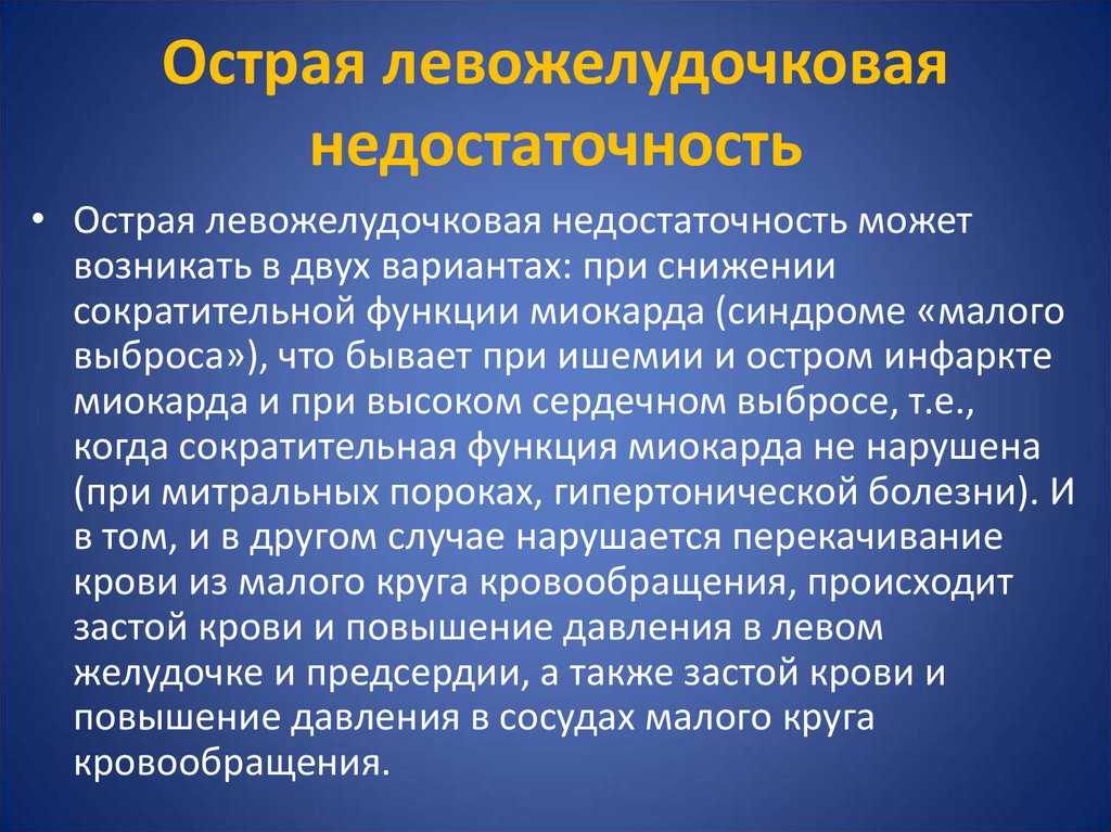 Отек легких у кошек не терпит промедления