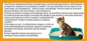 Обезвоживание у кошек. разбираемся в причинах и устраняем последствия | ваши питомцы
