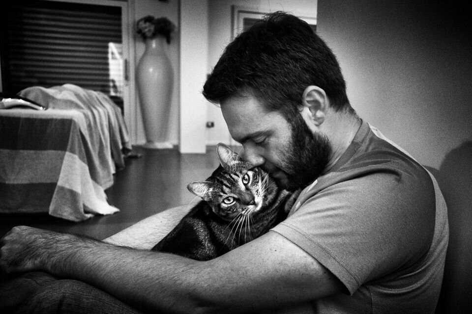 Почему кошка ложится на человека: причины и народные приметы
