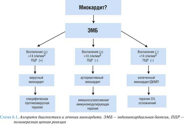 Миокардит - зооветеринарный портал беларуси 1vet.by