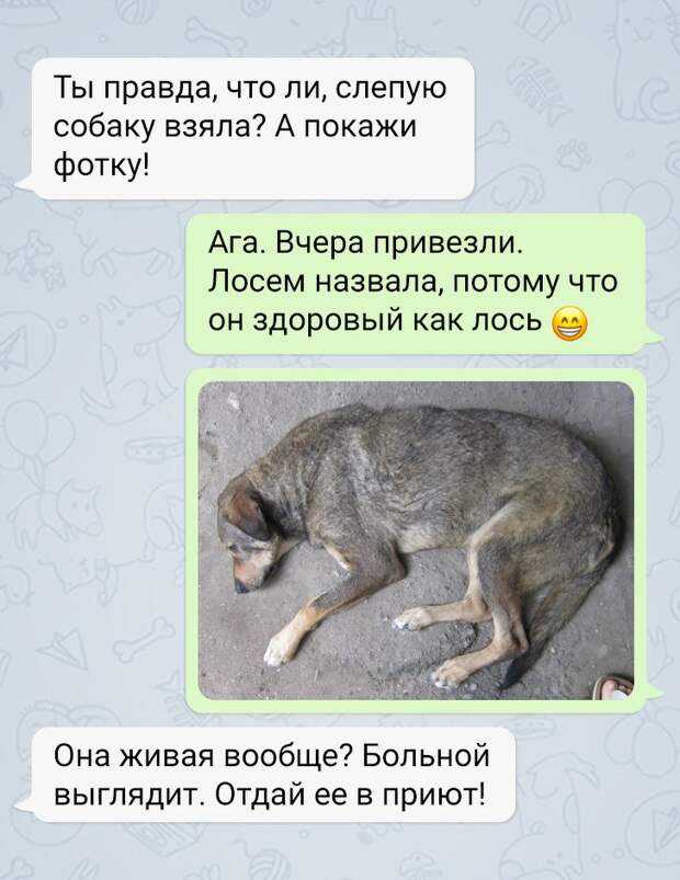 Заболевания глаз | glaziki.com