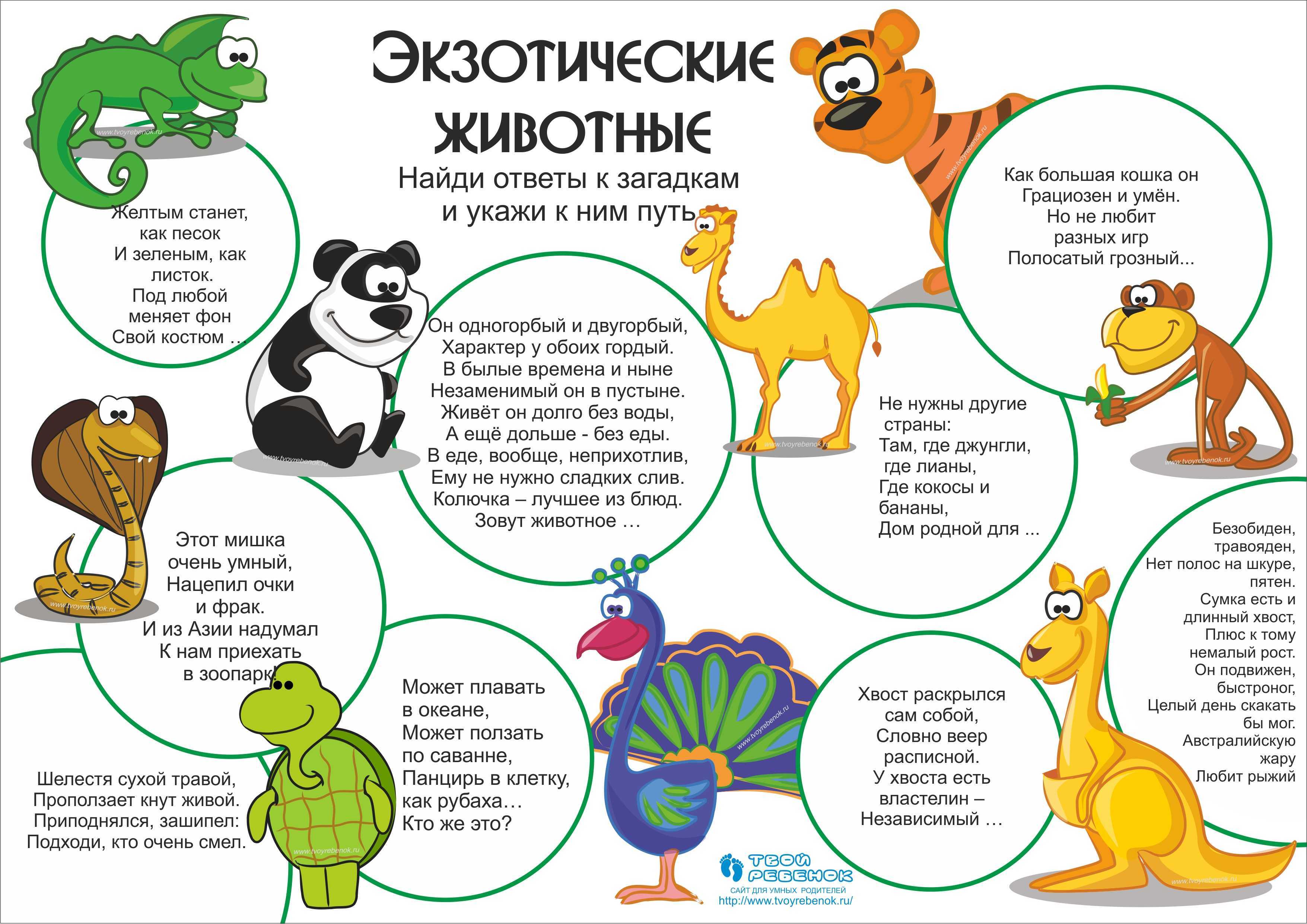 20 интересных фактов о животных