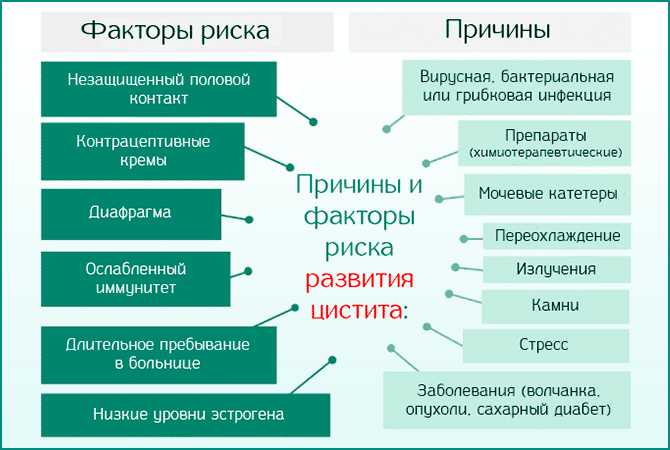Идиопатический цистит у кошек и котов - лечение, симптомы, причины, диагностика