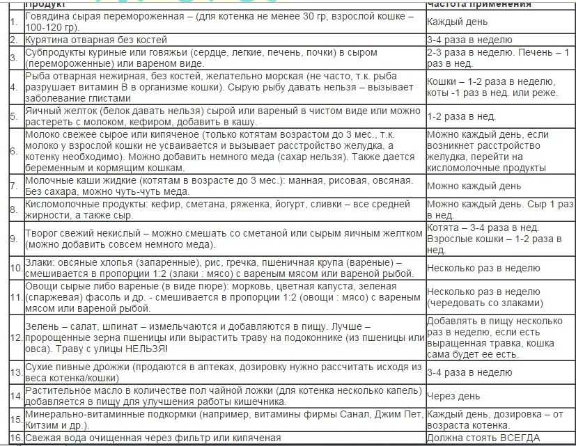 Чем кормить котенка? перечень продуктов по возрастам