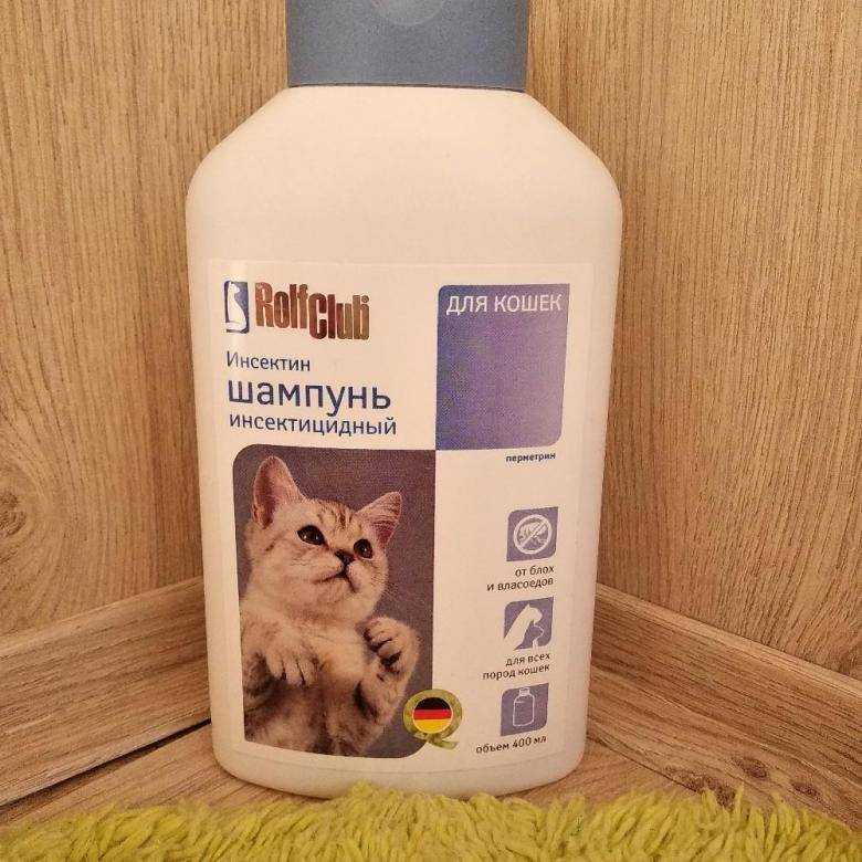 Шампуни от блох для кошек: выбираем и используем правильно