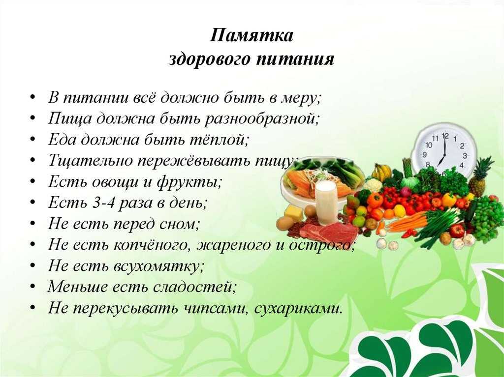 Как выбрать корм для пожилых собак, чем лучше кормить?