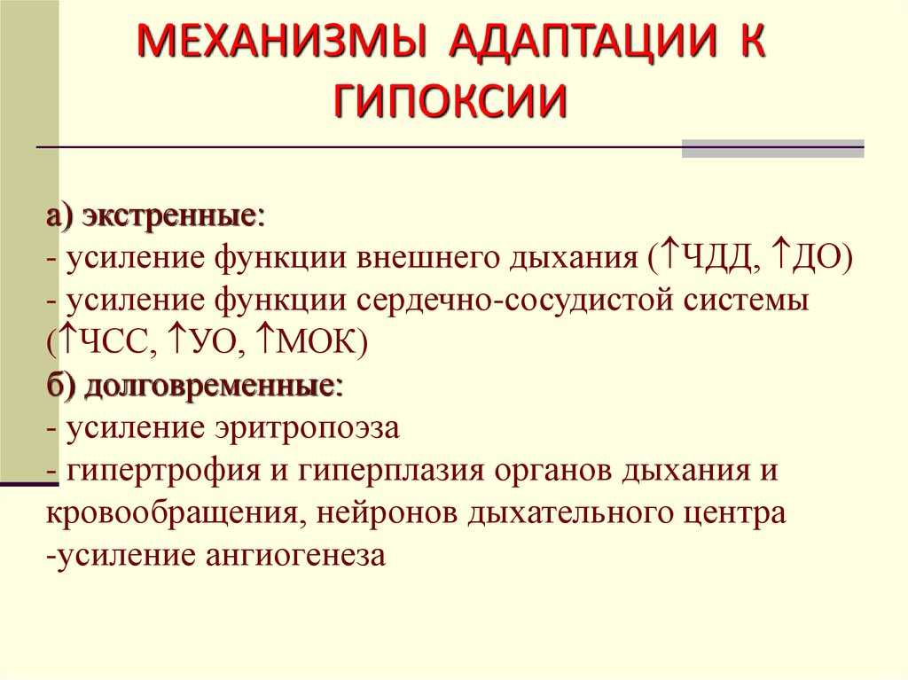 Ринотрахеит у кошек: причины, симптомы герпеса кошки (текут слюни, сопли из носа, гноятся глаза, болячки на морде кота, горле), лечение