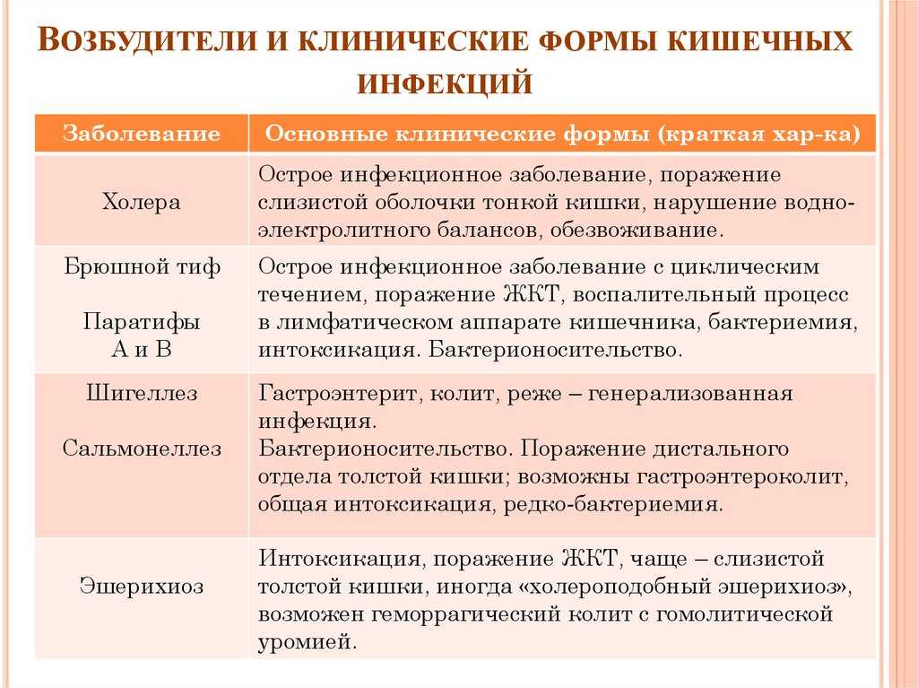 Болезни, общие для людей и животных