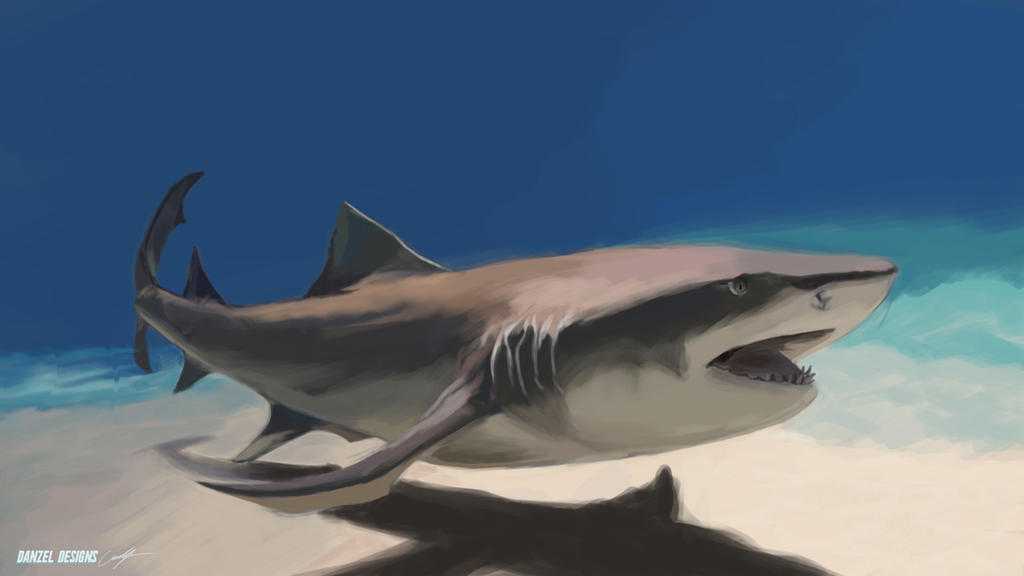 Злопамятная лимонная акула