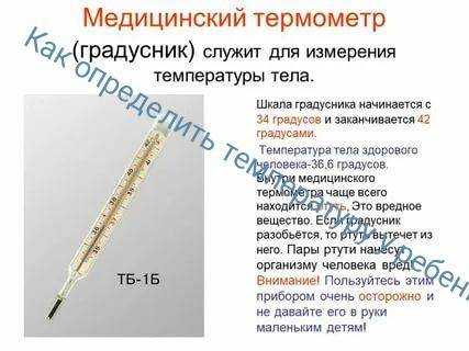 Распространенные болезни кошек с фото: симптомы и лечение, последствия и профилактика, заболевания котят и пожилых особей
