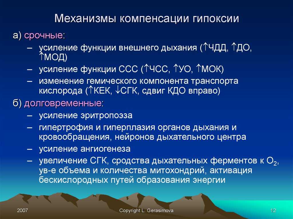 Выделения у кошки из половых органов: 3 возможных вида, нормальное и ненормальное состояние, вероятные заболевания и их лечение